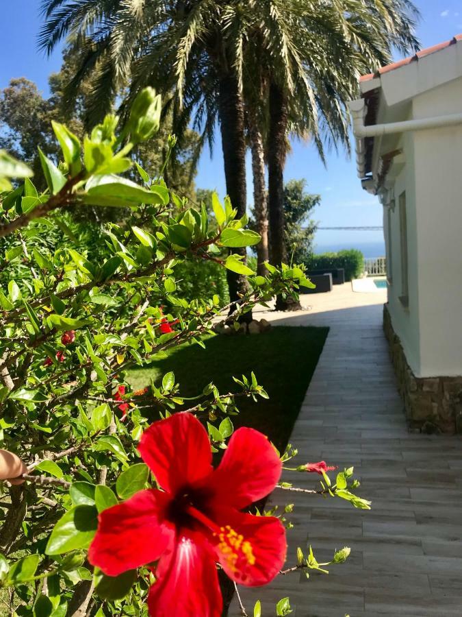 Villa Denia Costa Blanca Exterior foto